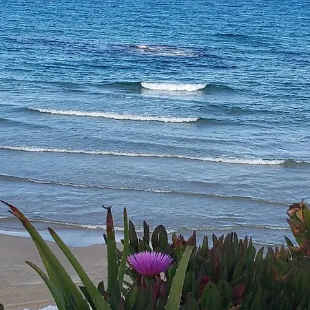 Playa Flamenca Splendid On The Alicante